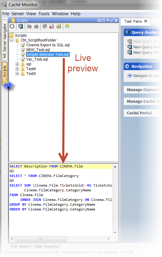 script_manager_live_preview